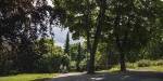 People walking amongst tall trees and green lawns in the park. Photo: Benjamin A. Ward