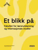 Forsida til årsrapporten Et blikk på LUI