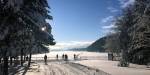 Snow covered lake with ski trails on a sunny winter day.