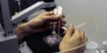 Hands holding test tubes under microscope.