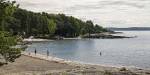 A sandy bay with a few people swimming in the fjord on a sunny summer's day. Dense foret in the background.