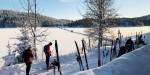 Skis put upright in the snow as some people are taking a break next to a ski trail.