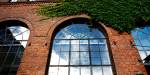 Mursteinsfasade med buede glassvinduer og grønne klatreplanter