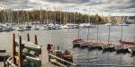 Part of a harbour in the Oslo Fjord with small and medium sized boats and sail boats on the water.