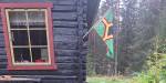 skoghytte med skogfinsk flagg utenfor