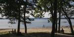 A stretch of sandy beach behind some big trees, people on benches looking out on the water.