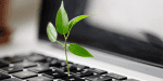 Bilde av plante som vokser opp fra et tastatur. Foto: Canva
