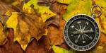 Foto av et kompass som ligger oppå høstblader