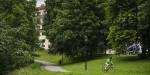 Man on bike on a path in a park with big, green trees.