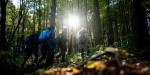 Students hiking in the Norwegian woods