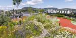 Blomster og andre planter på taket av en bygning. Blokker og annen bebyggelse i bakgrunnen. Fjell og åser bakerst, og himmel med lette skyer øverst.