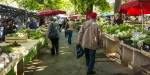 people shopping at outdoor market