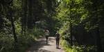 Two women jogging in the forest