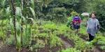 to bønder, urfolk i Colombia i åkeren