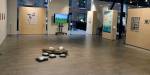 Overview of the exhibition.
