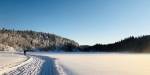 Lone skier at a distance crossing a snow covered lake in the middle of the forest.