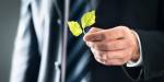 Picture of man in suit holding a green leaf