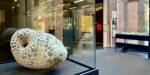 A ceramic work by Kristin Andreassen in a display case in the foyer of P46