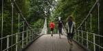 Three joggers crossing a white bridge with big, green trees on all sides.